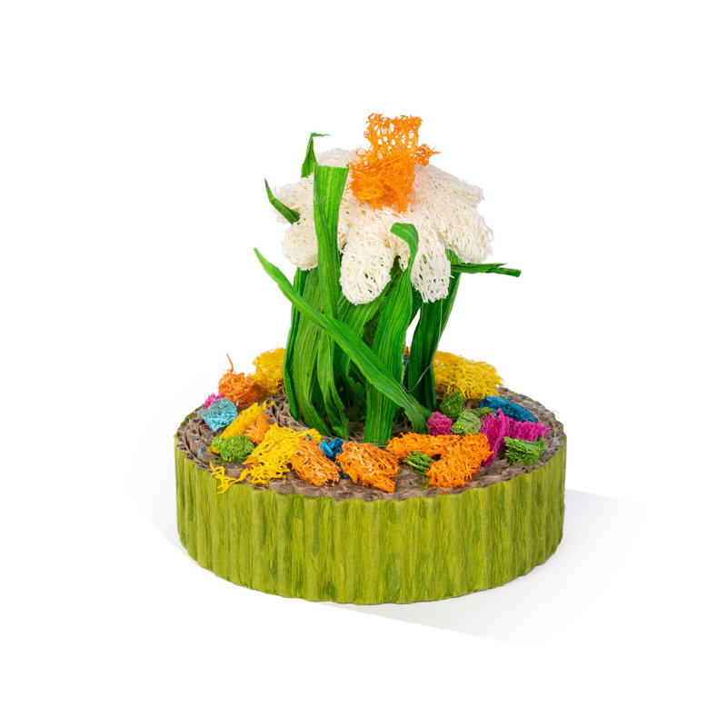 Succulent MiniGarden, petit animal