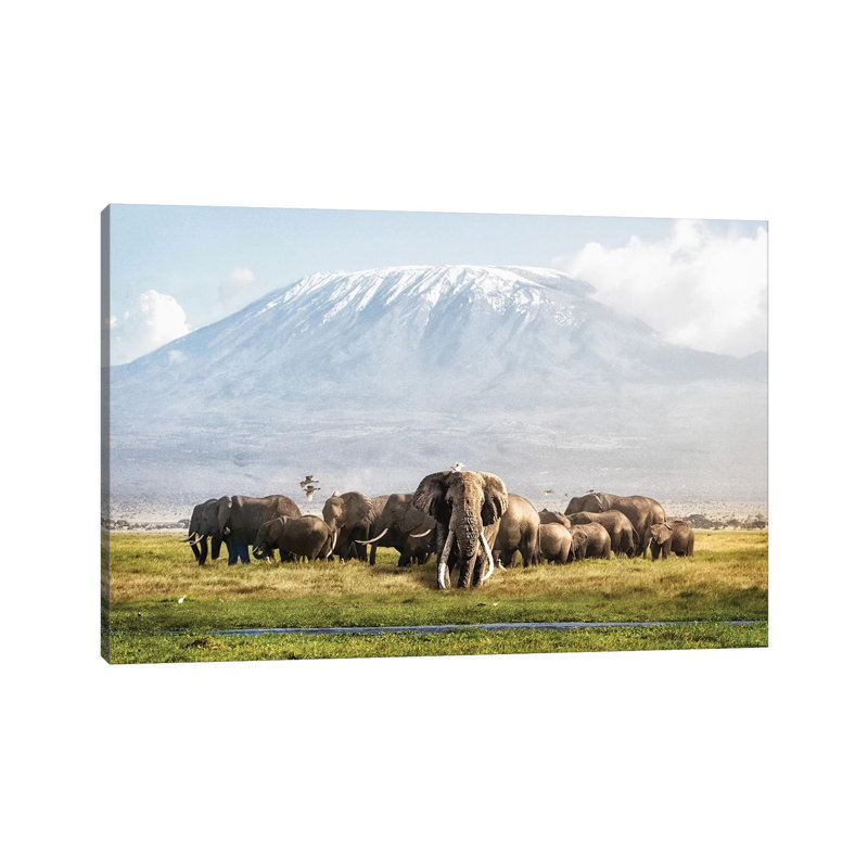 Tusker Tim And Family In Front Of Kilimanjaro 1 Piece Wrapped Canvas Wall Art, 30.48 cm H x 45.72 cm W