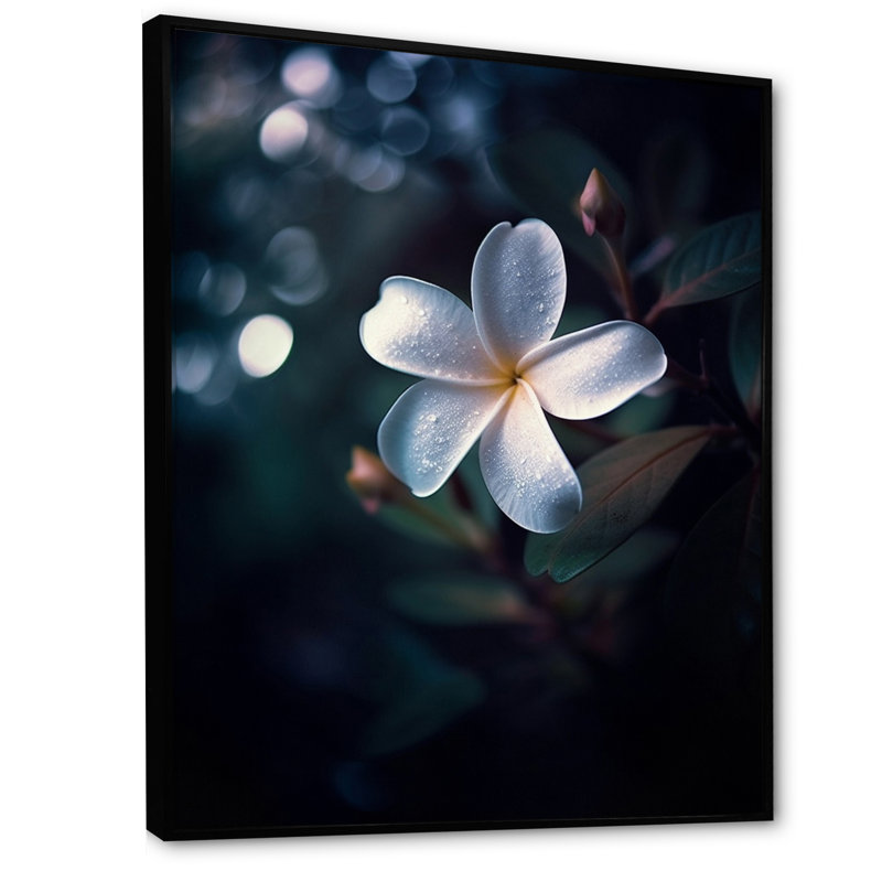 «White Black Exotic Plumeria Bloom I», reproduction sur toile, 32" H x 24" W, Cadre flottant noir