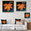 Feuillage tangerine orange érable translucide I-2115139053-2115139052