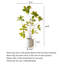 Ornement artificiel en ficus artificiel pour salon