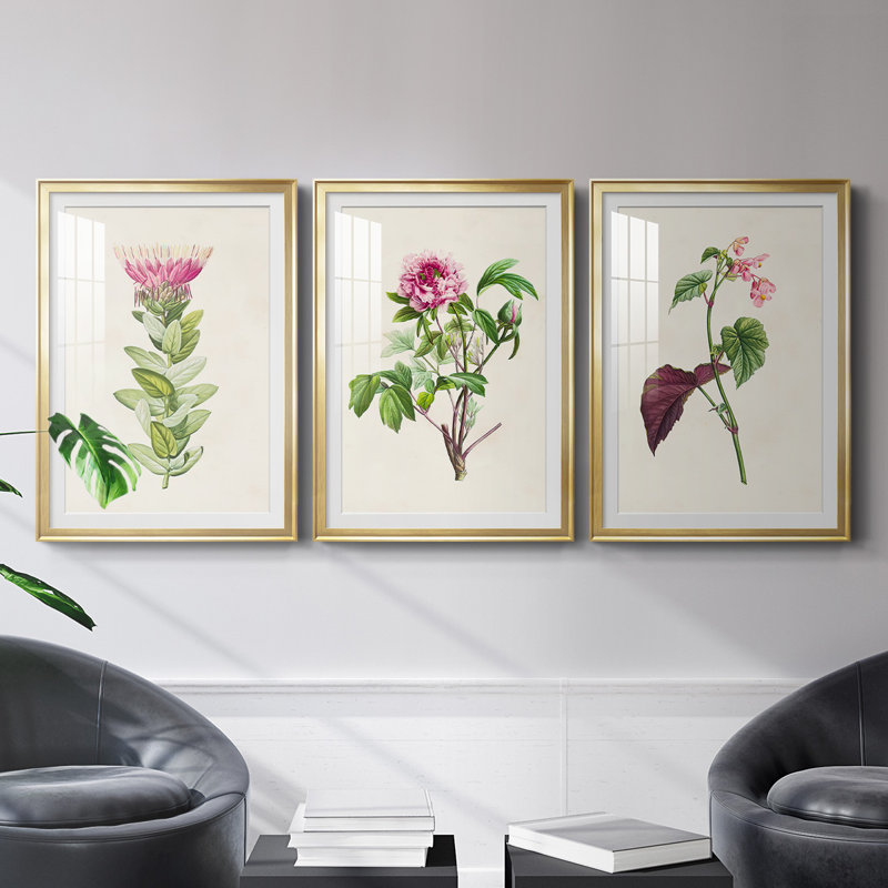 «Pretty Pink Botanicals IV», reproduction encadrée de qualité supérieure - prête à être accrochée, H 24,5 po x l 37 po