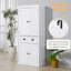Armoire garde-manger autoportante pour la cuisine