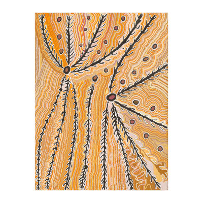 " Wakirlpirri Jukurrpa Ochre " by Liddy Napanangka Walker