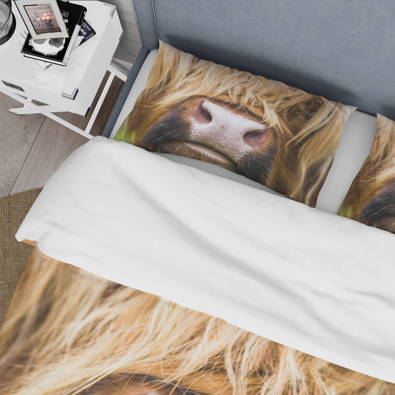 Gros plan sur les bovins Highland en Écosse - Ensemble de housse de couette Farmhouse - Polyester en microfibre
