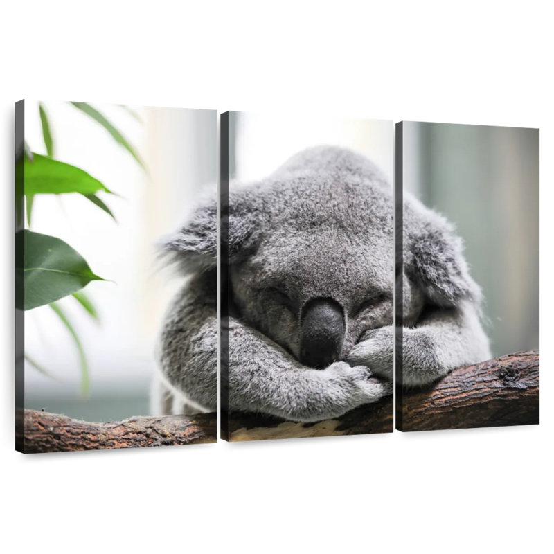 Brampt Napping Koala, 20" H x 33" W