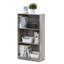 Barhorst Standard Bookcase-25900215