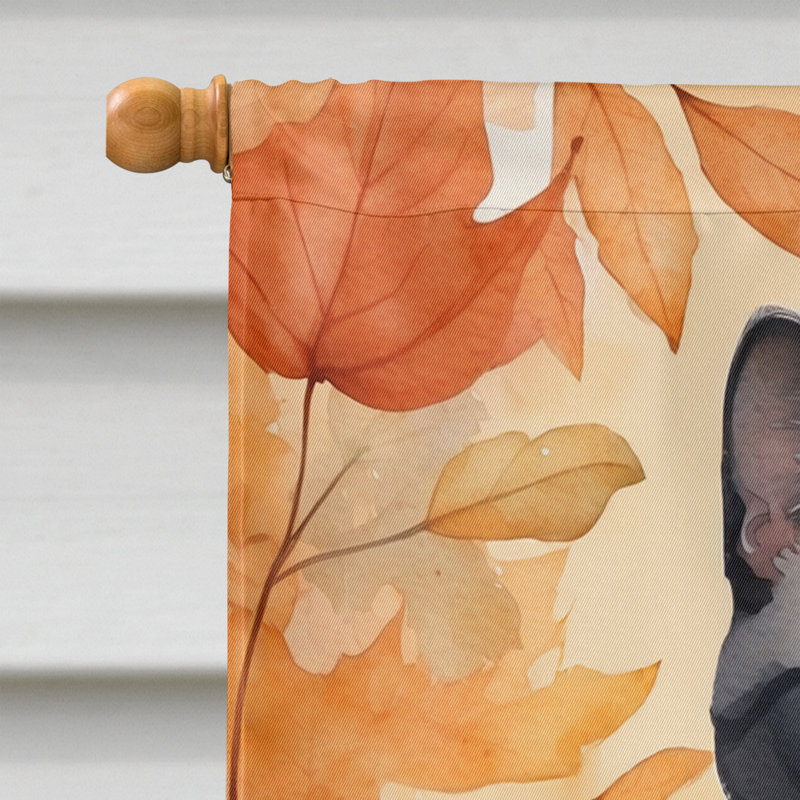 Chat en feuilles d'automne, Asiatique