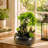 Bonsai-style Tabletop Fountain
