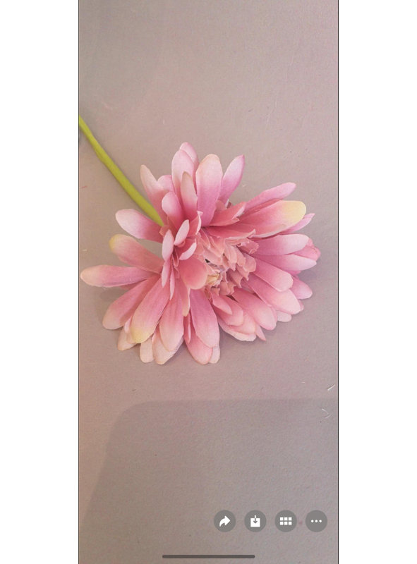 Bouquet de gerberas (9 x 12 pouces), Pink