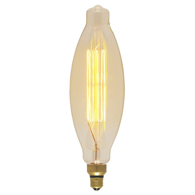 100 watts, ampoule incandescente à intensité variable BT38, base E26 / moyenne (standard)