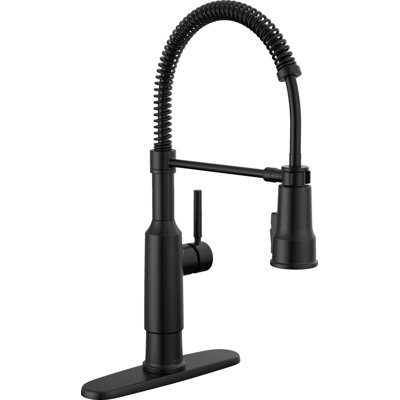 Robinet d'évier de cuisine Theodora Pro