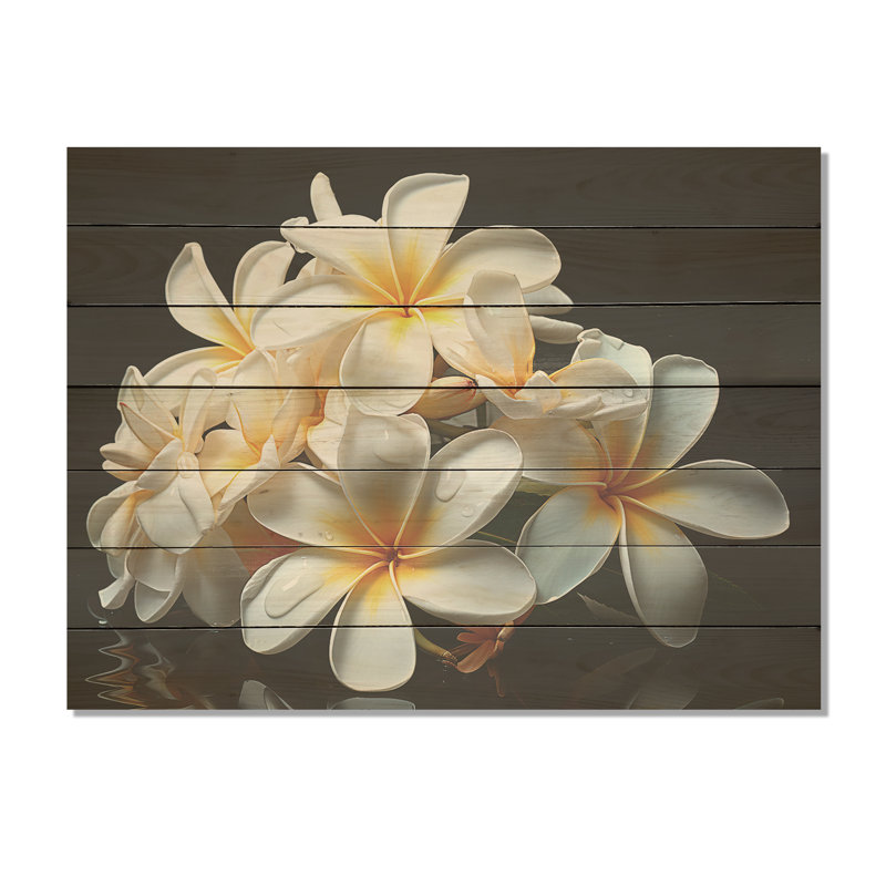 «White Pureté Of Plumeria Floral Essence II» - Plumeria sur impression sur bois, H 30 po x l 40 po