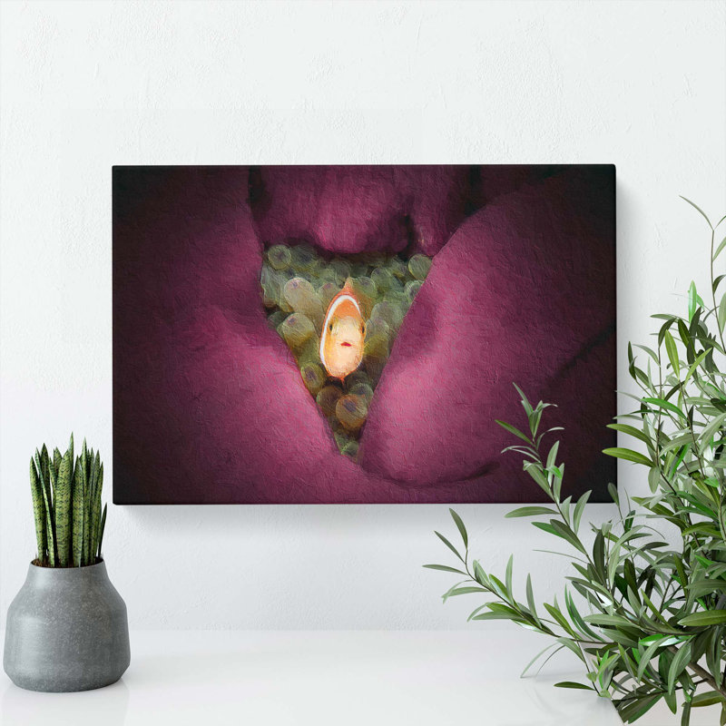 Clownfish & Sea Anemone - Wrapped Canvas, 35cm H x 50cm W x 3cm D