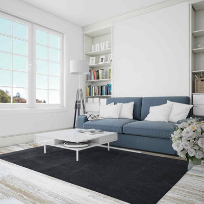 Adulfo Unicoloured Area Rug