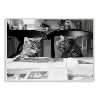 Cats Gossiping Before Dinner Panoramic Graphic Art Print Set on Canvas