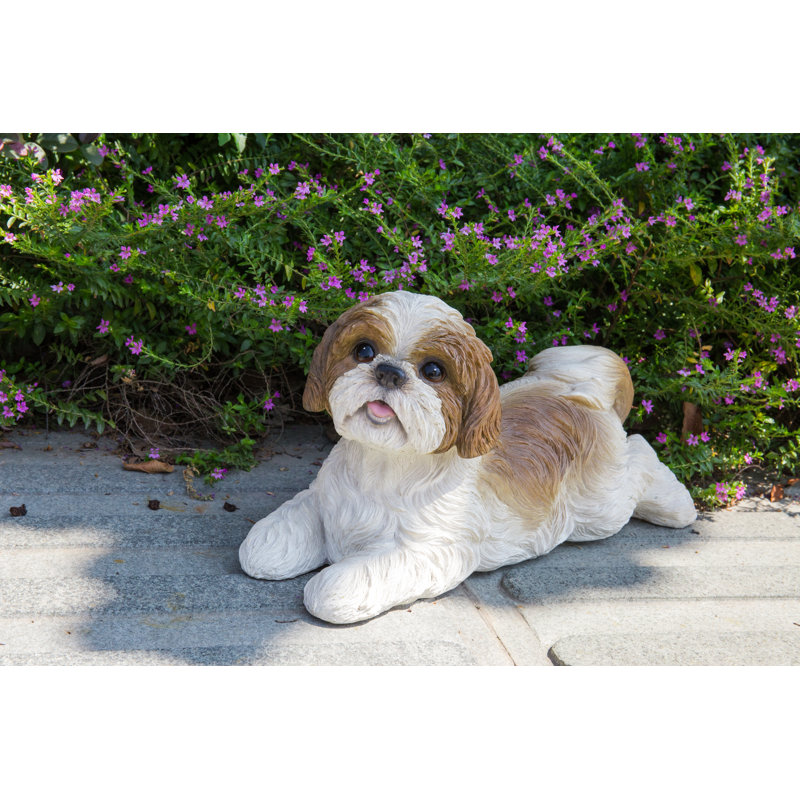 Statue d'un shih tzu allongé, Brun / Blanc