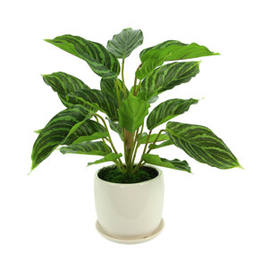 17'' Faux Foliage Plant in Ceramic Pot