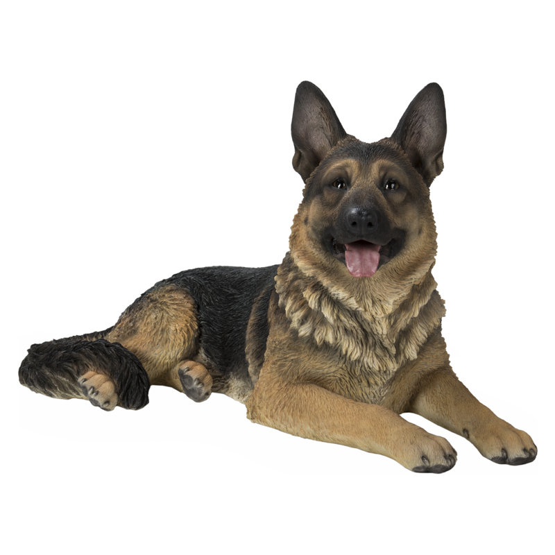 Berger allemand couché