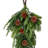 Norfolk Spruce Juniper Teardrop Swag