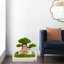 Daymein Velvet Bolster Pet Bed
