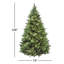 Carolina Flocked/Frosted Christmas Tree-1687330706