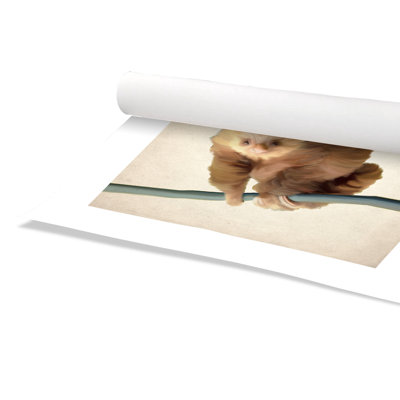 Rolled Take It Easy Paper Print