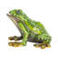 Boîte à bijoux bijou grenouille