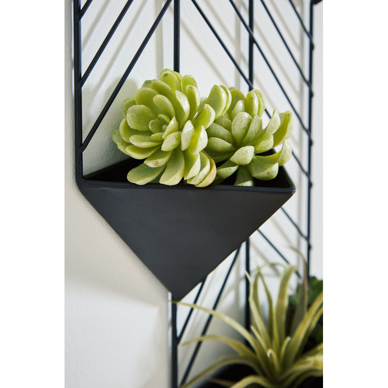 Black Metal Contemporary Indoor/Outdoor Wall Planter