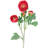 Ranunculus Arrangement