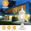 Luminaire suspendu transparent câblé 1 lumière H 18,9 po-4633138