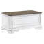 Coffre de rangement Colchester avec plateau amovible