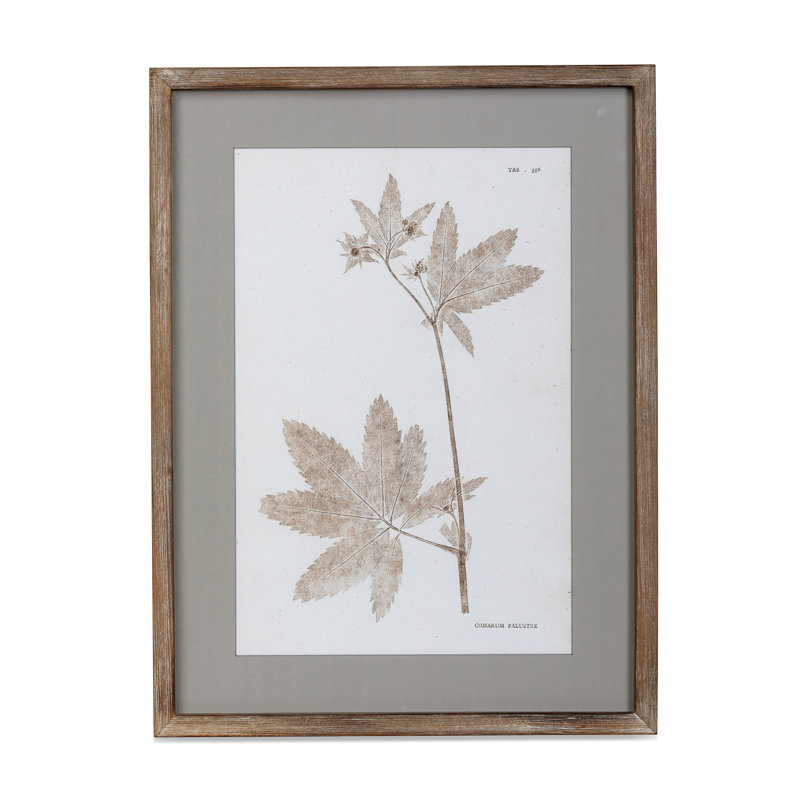 Framed Botanical Print