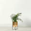 1 Tier Plant Stand