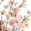 Leonie Cherry Blossom Toile Arrangement