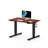 Dojtcho Home Office Adjustable Standing Desk-62270601-113909856