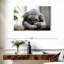 Koala qui fait la sieste-107943730