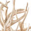 Waylon Antler Chandelier