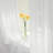 Attell Sheer Curtain Pair-1056724697-1000246948