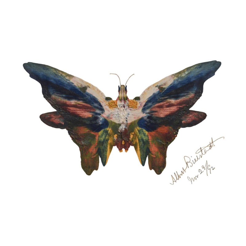 «Butterfly» par Albert Bierstadt - Impression giclée, H 16 po x l 20 po