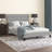Antrone Upholstered Platform Bed-399511984