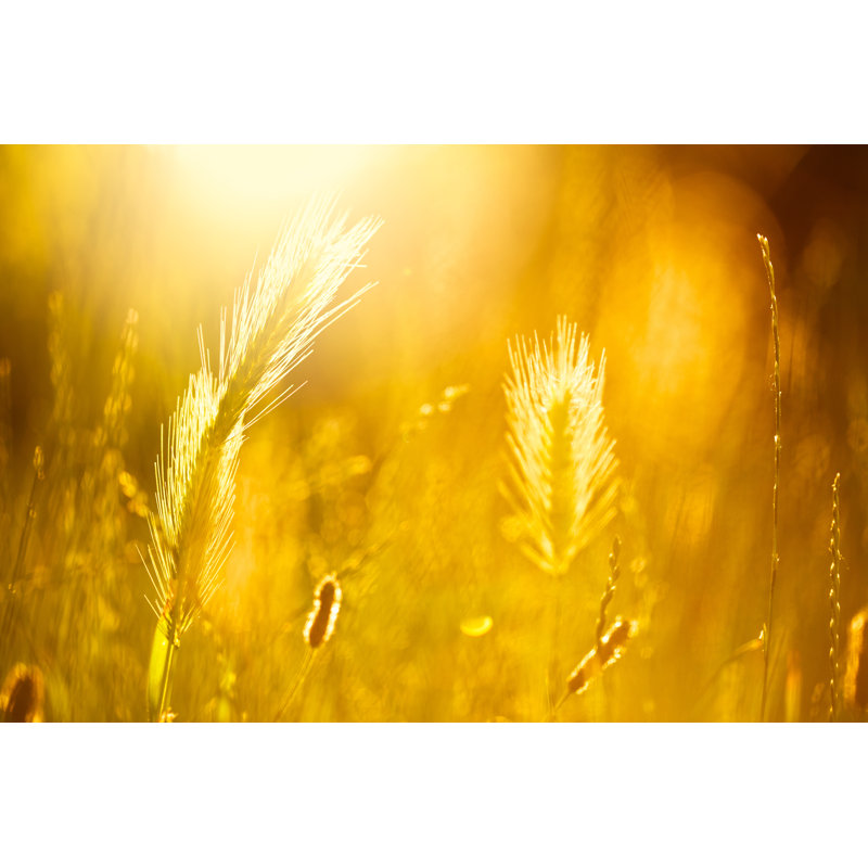 Autumn - No Frame Print on Canvas, 20cm H x 30cm W