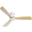Ventilateur de plafond d'intérieur à télécommande à profil bas de 20 pouces avec 7 ampoules
