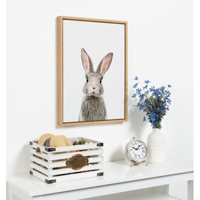 Animal Studio Female Rabbit by Amy Peterson Framed Canvas Wall Art Print
