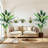 Artificial Bird Of Paradise Plant 7FT(84In) Fake Palm Tree With 20 Trunks Faux Leaves