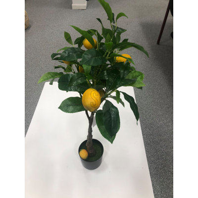 Adeesa Vase Filler