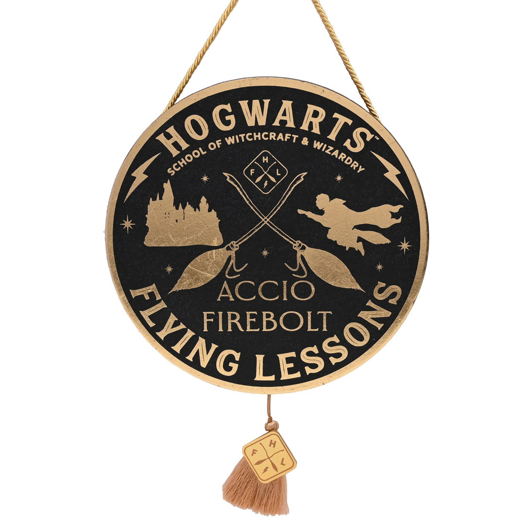 Holz-Wanddekoration Harry Potter Flying Lesson