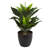 Agave Artificial Plant