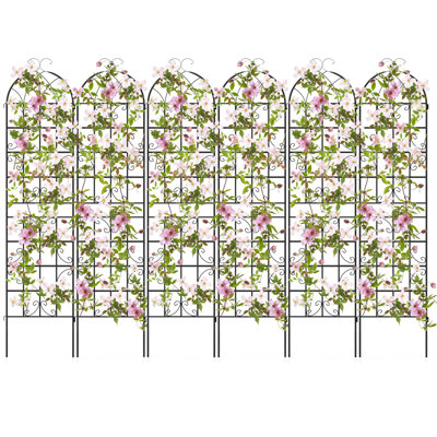 Uraz 87'' H x 20'' W Metal Arched Trellis