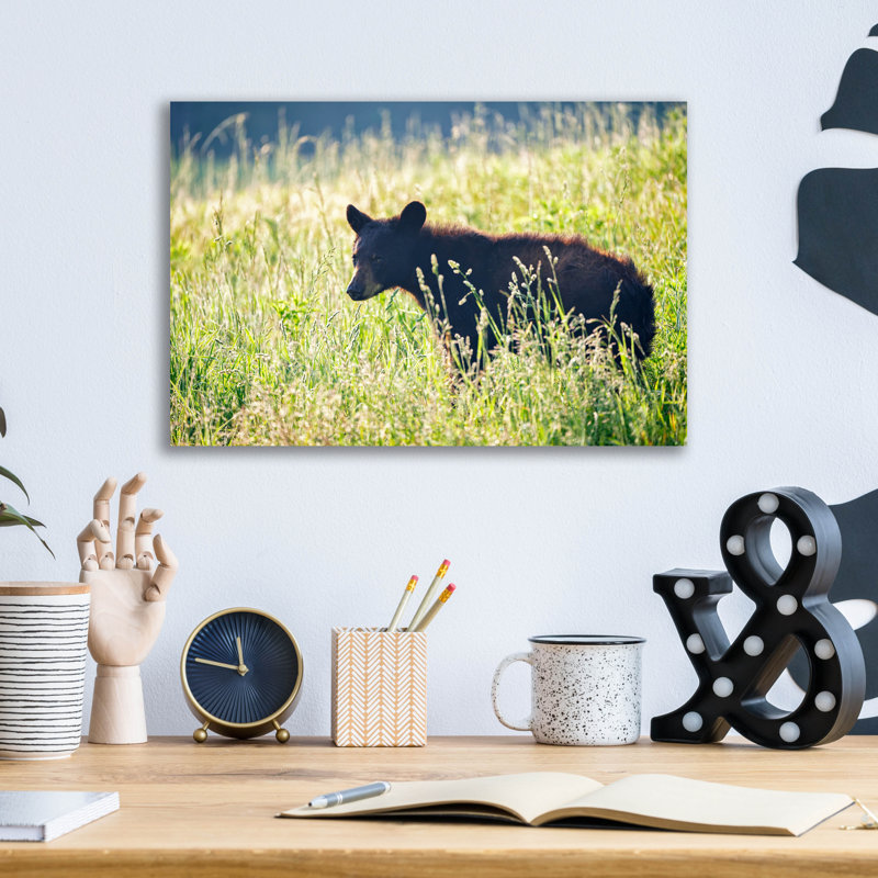 Art mural en verre Loon Peak® «Black Bear Cub» par Rick Berk, H 12 po x l 16 po x P 0,13 po